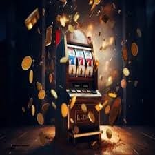 655 bet