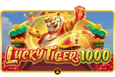 655 bet